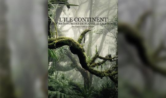 L'Ile Continent affiche