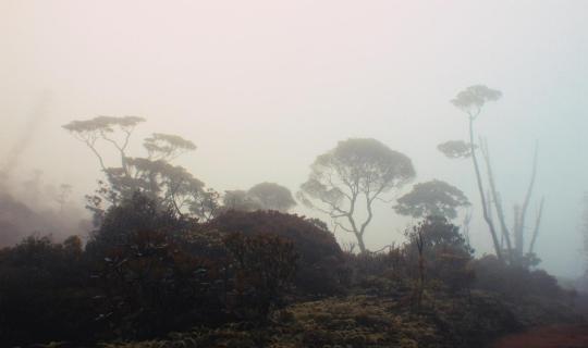 Terre de Métal d'Alan Nogues