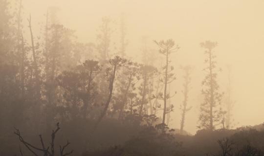 Terre de Métal d'Alan Nogues