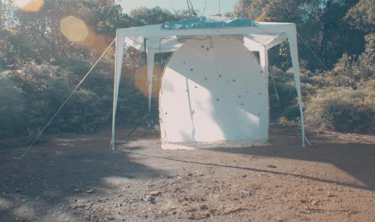 Terre de Métal d'Alan Nogues