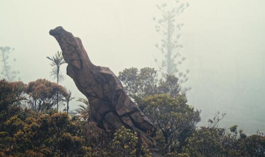 Terre de Métal d'Alan Nogues