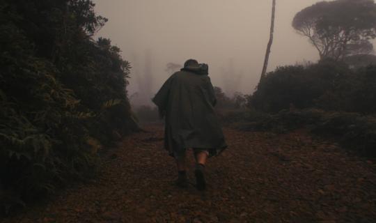 Terre de Métal d'Alan Nogues