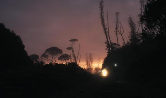 Terre de Métal d'Alan Nogues