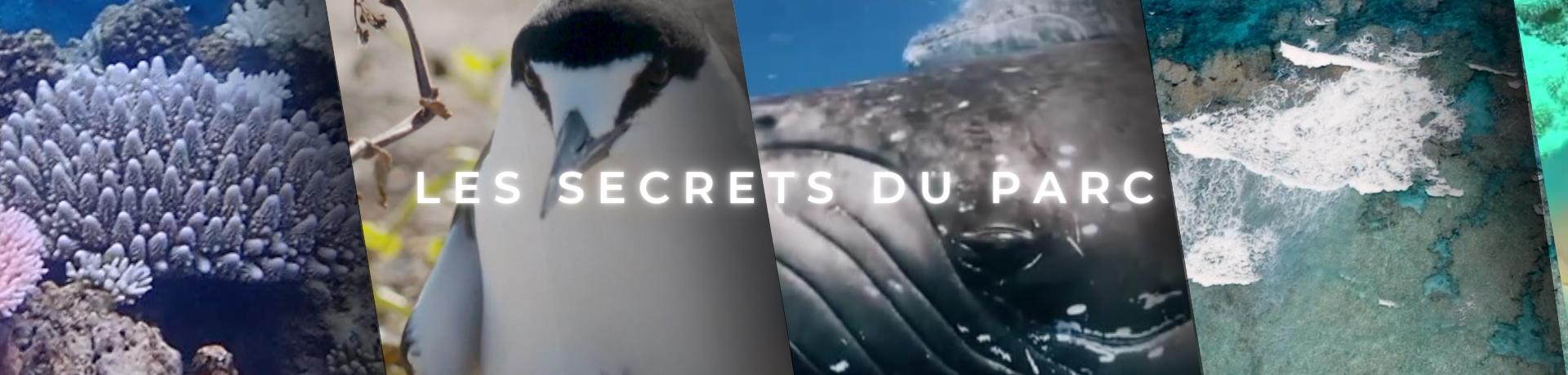 SecretsParc