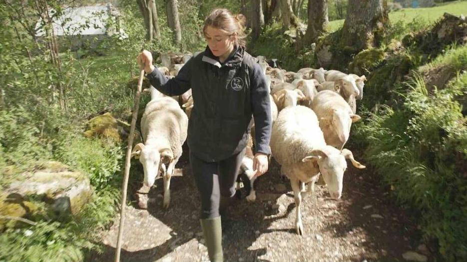 @Studiofact Presse & Docs