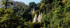 MERVEILLES DE LA NATURE - Le sanctuaire d'Umphang (Thaïlande) ©arte