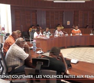 Sénat coutumier : les violences faits aux femmes abordées