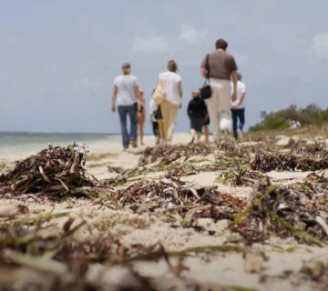 Un sentier pour découvrir la biodiversité de l'îlot Maître ©Caledonia