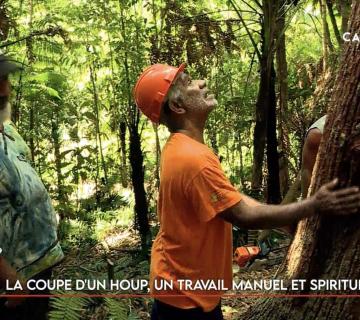 La coupe d'un houp, un travail manuel et spirituel (3/5)
