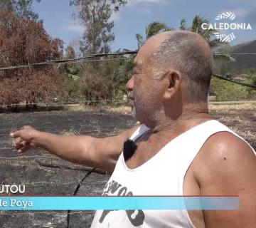 Les habitants de Poya surpris par les incendies