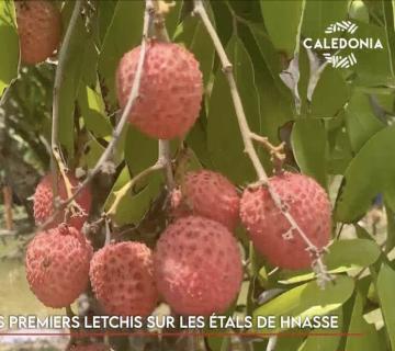 Lifou : les premiers letchis sur les étals de Hnassé