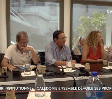 Avenir institutionnel : Calédonie ensemble dévoile ses propositions 