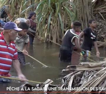 Pêche à la sagaie : une transmission des savoirs