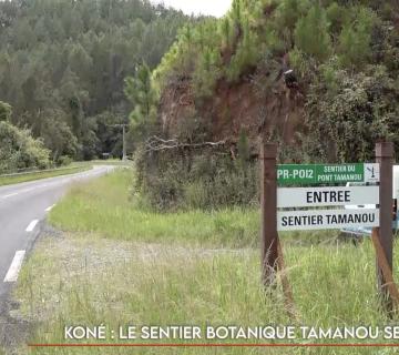 Koné : le sentier botanique Tamanou se dévoile
