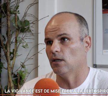 La vigilance est de mise face à la leptospirose 