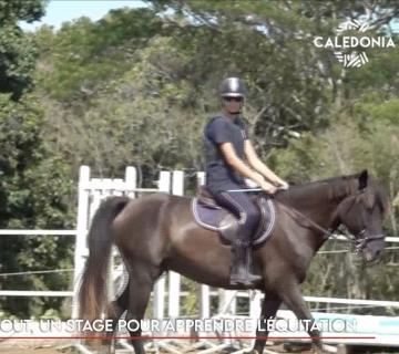 À Pouembout, un stage pour apprendre l'équitation