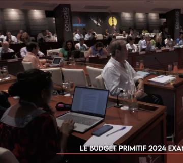 Le budget primitif 2024 examiné au Congrès