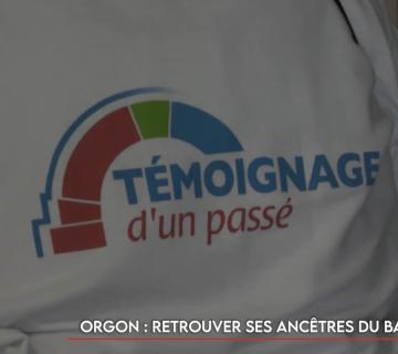 orgon