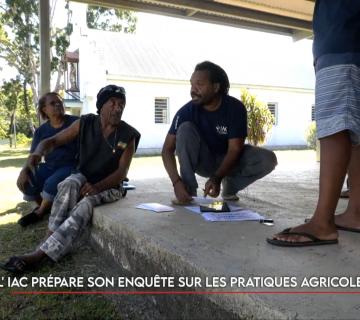 L'IAC prépare son enquête sur les pratiques agricoles en tribu ©Caledonia