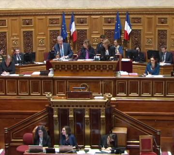 senat